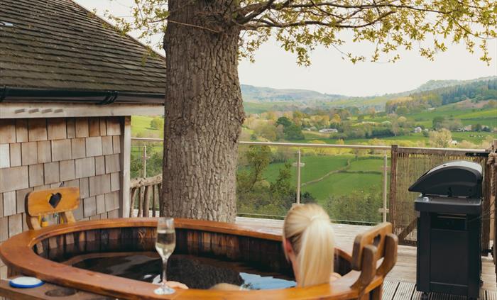 Oaklands Glamping & Treehouse